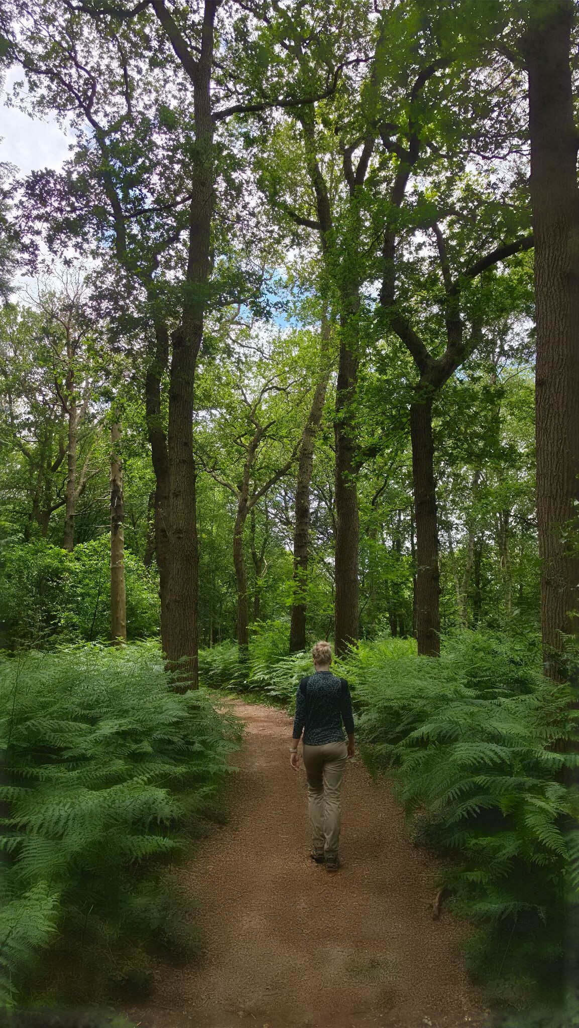 Wolvega-Akkrum  · Liberation route etappe 1