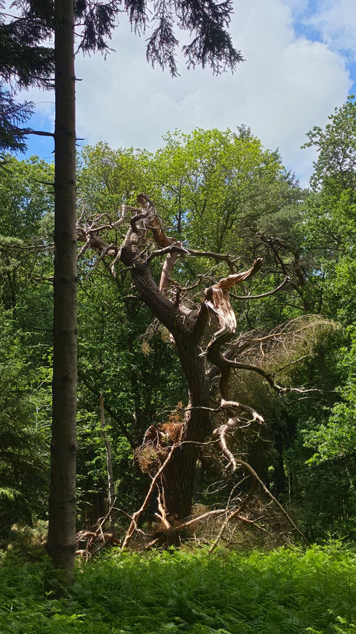 Mooie natuur, parken en route