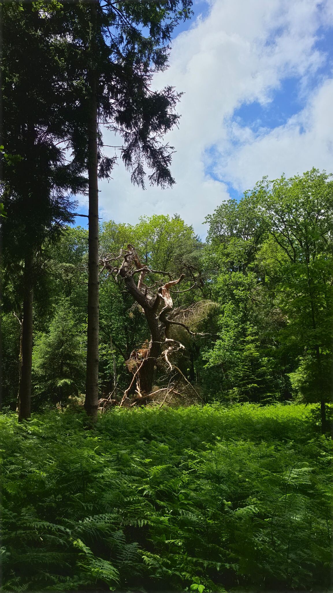 Mooie natuur, parken en route