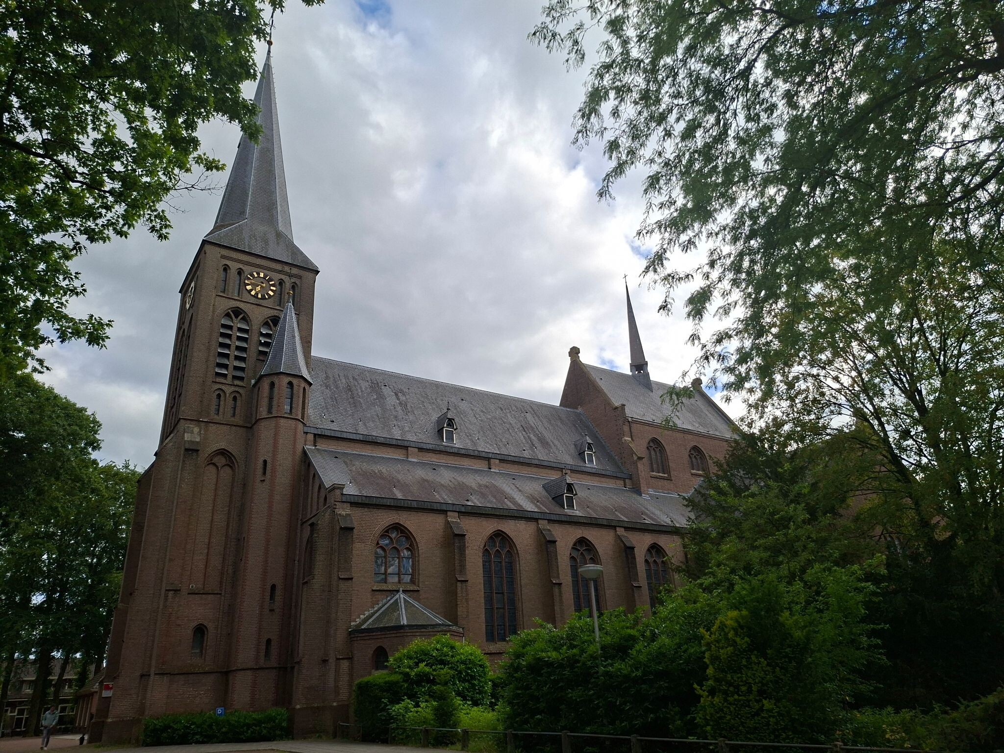 Rielerenk - Blauw