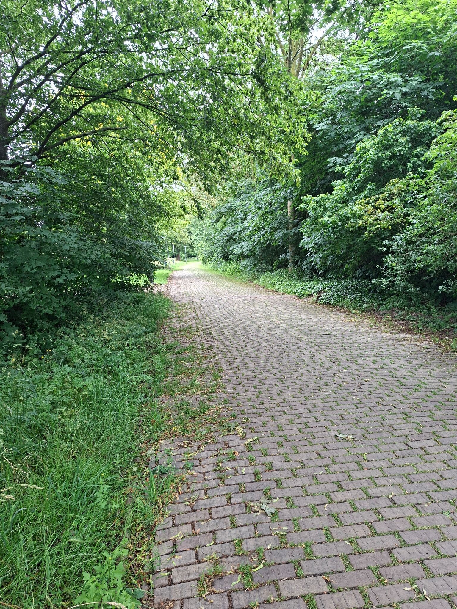 Zandhove - Groen