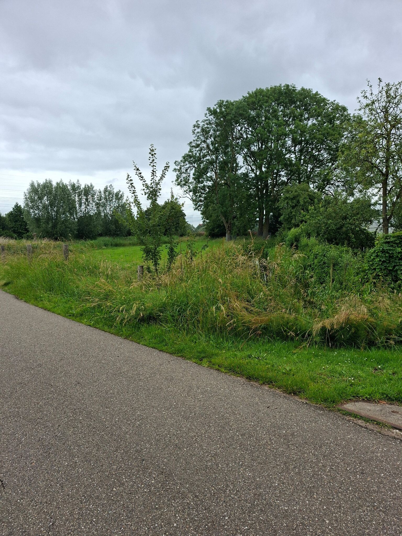 Zandhove - Groen