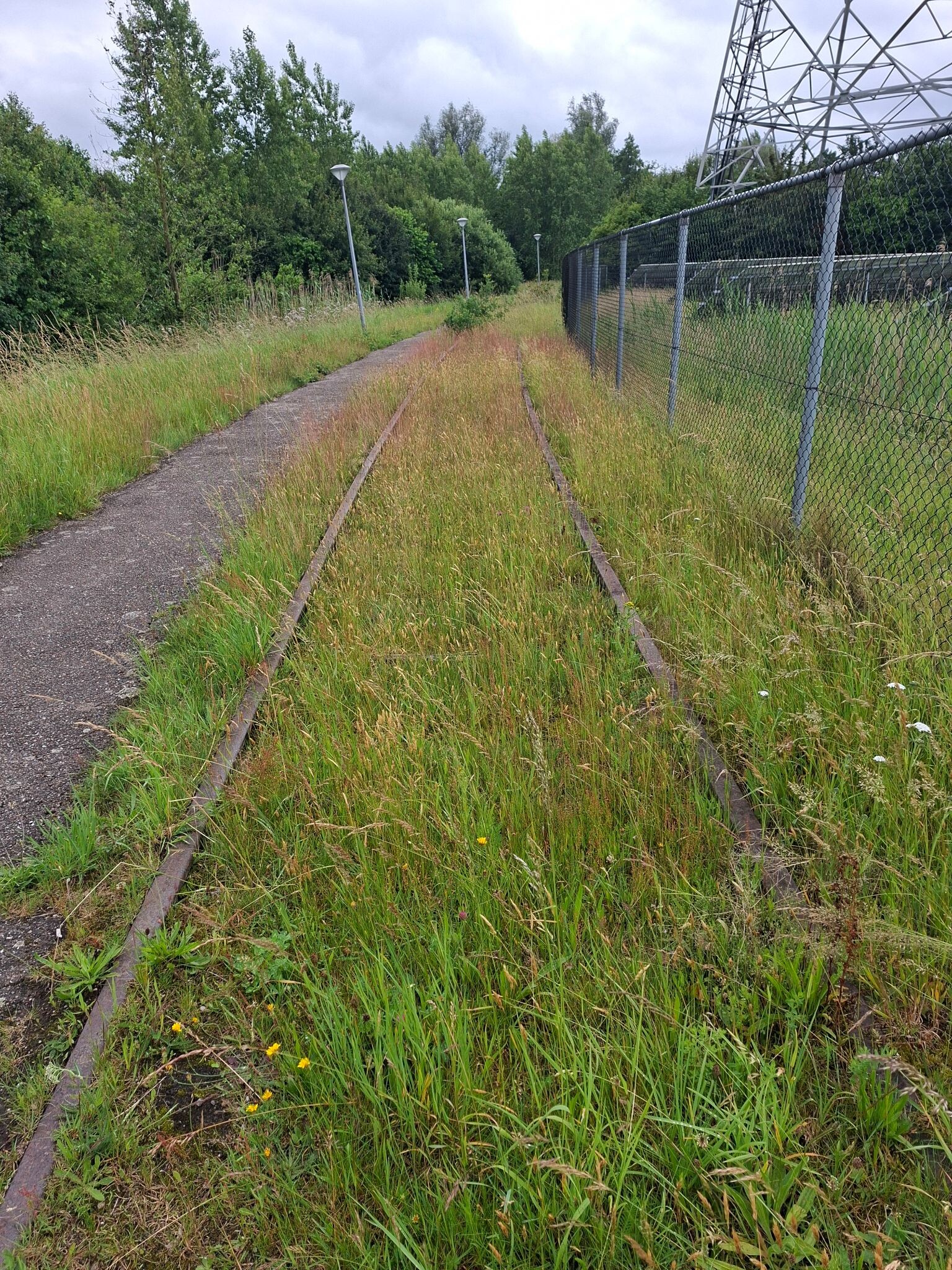 Zandhove - Groen