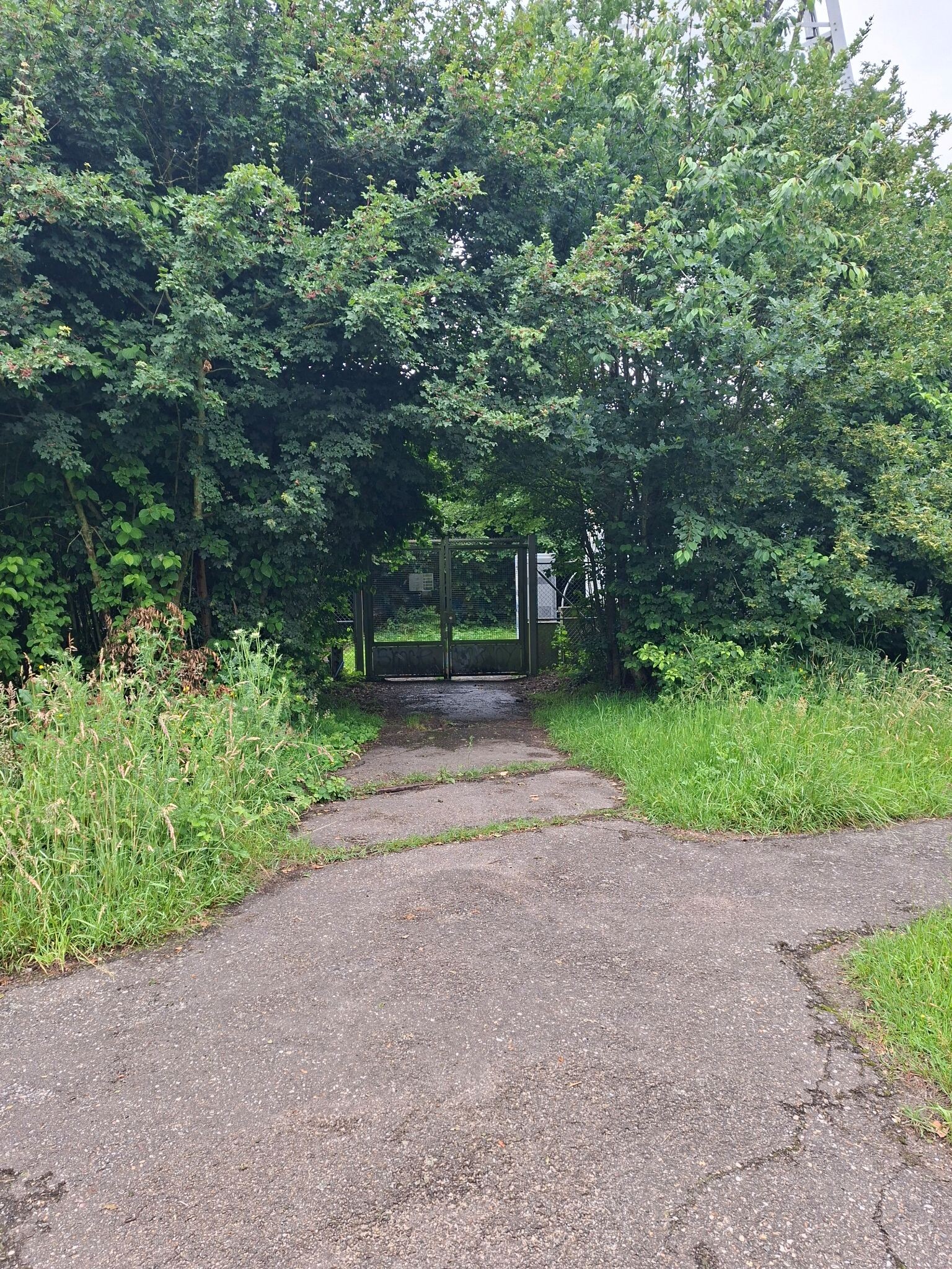 Zandhove - Groen