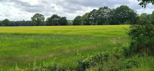 Elp - Beilen · Jacobspad Uithuizen - Hasselt etappe 8