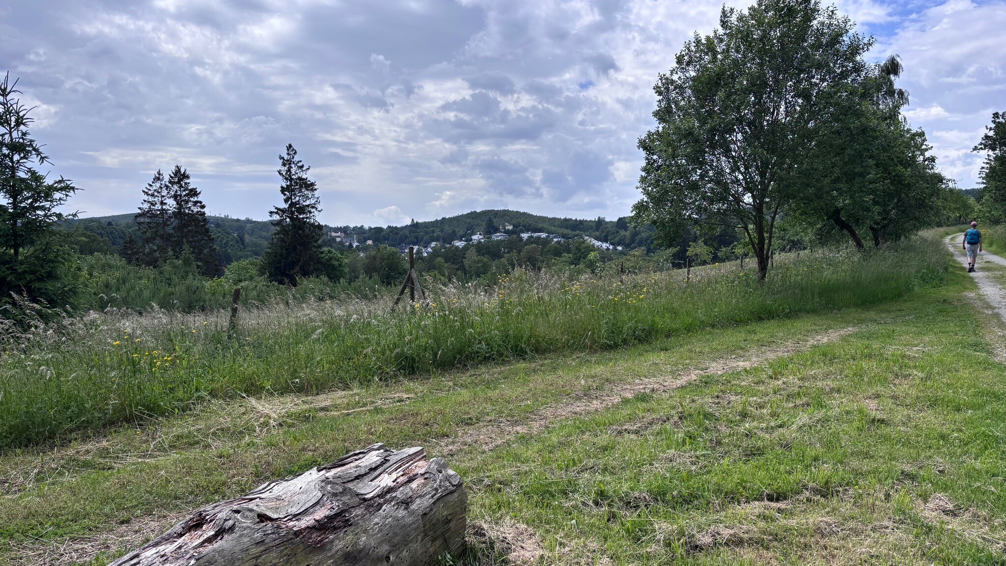 Naturpark Sauerland-Rothaargebirge