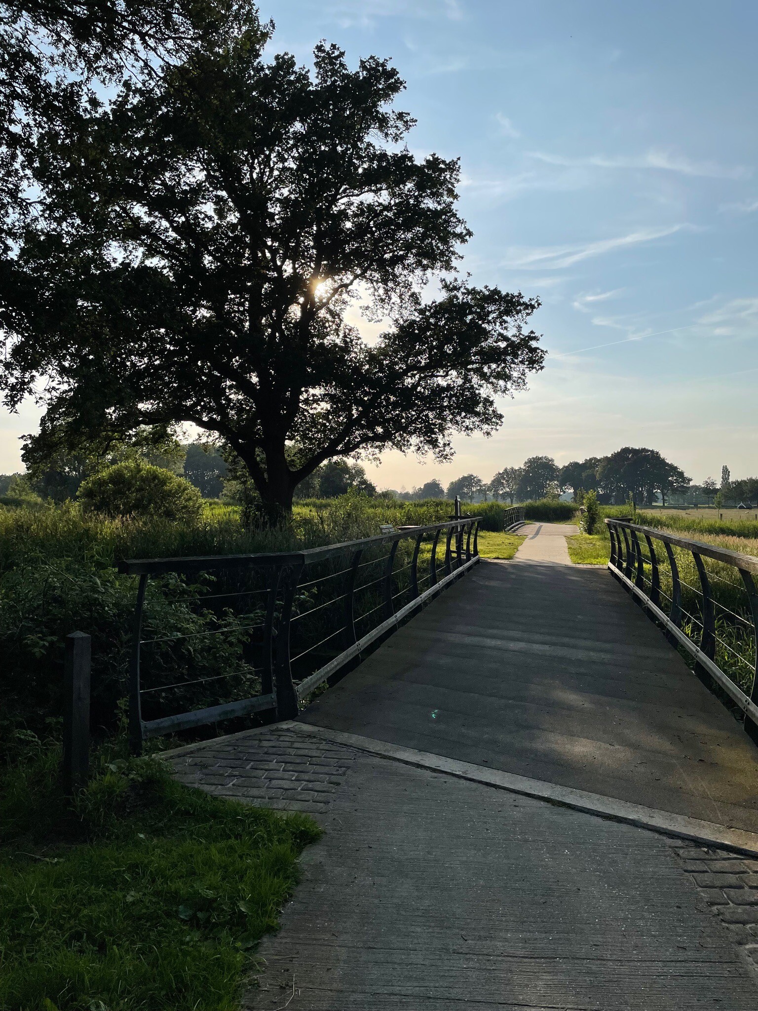 Regge-Elsgraven-Enter-Regge