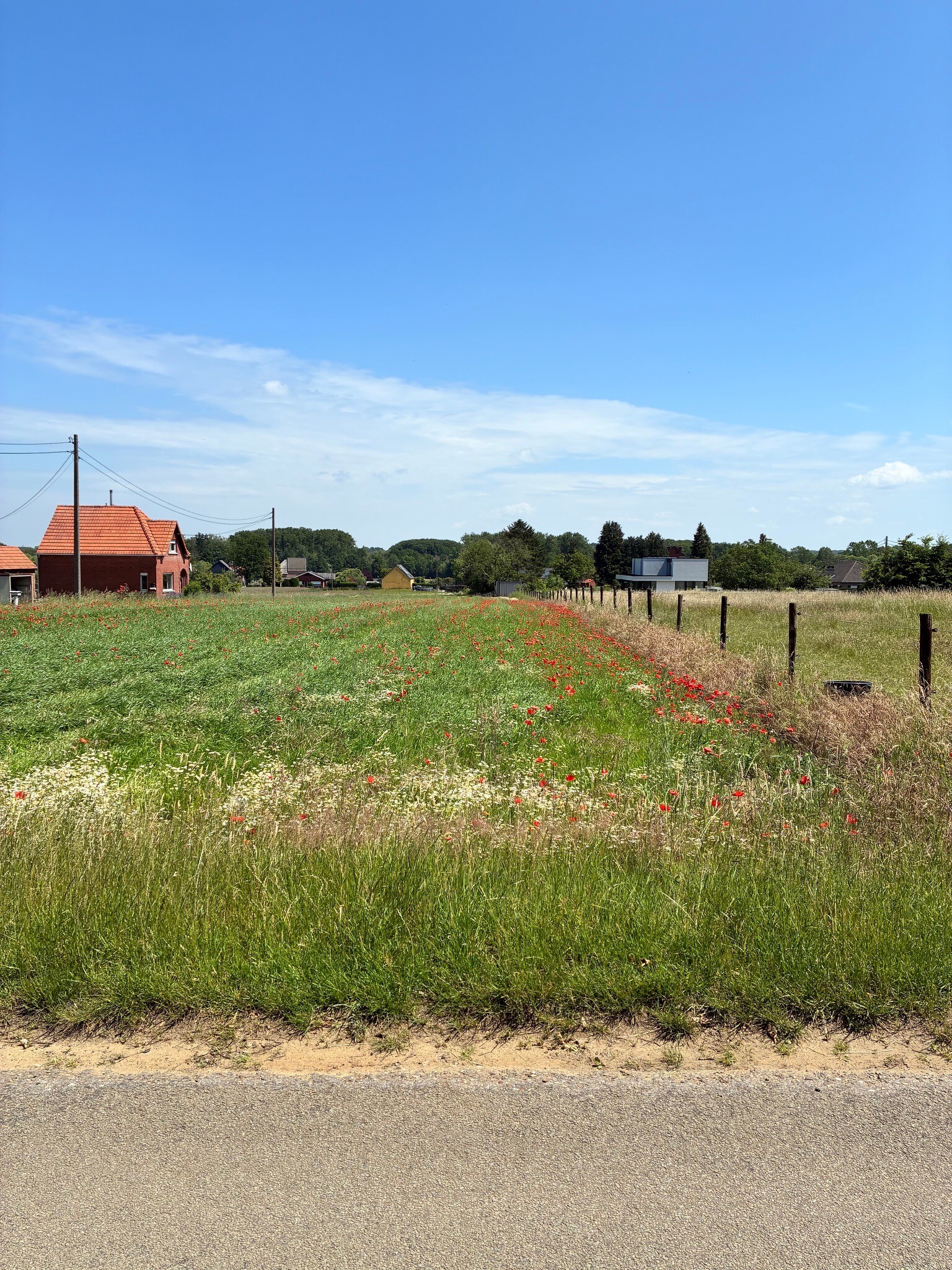 Horstwandeling