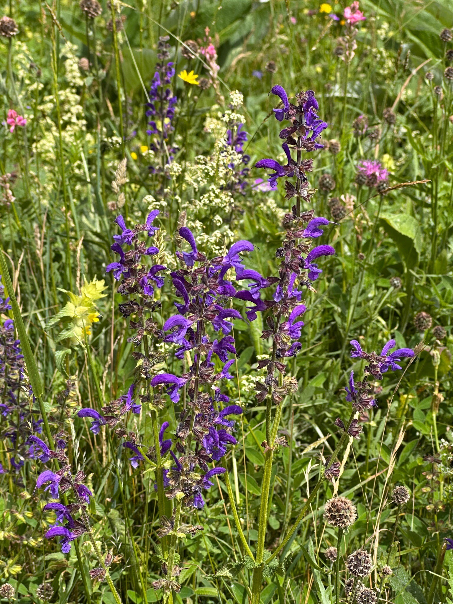 Naturpark Kaunergrat