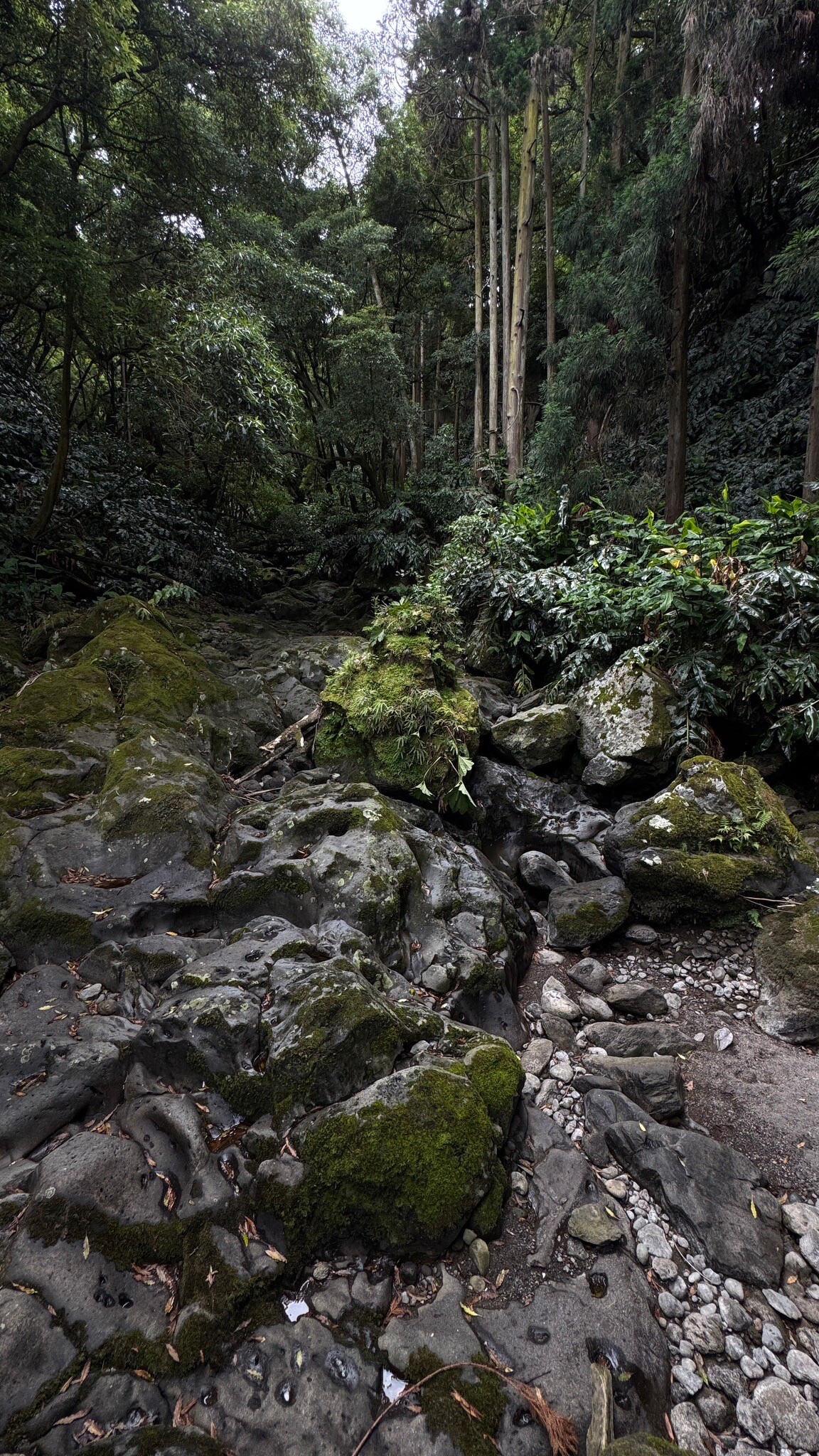 PR 21 Salto da Farinha