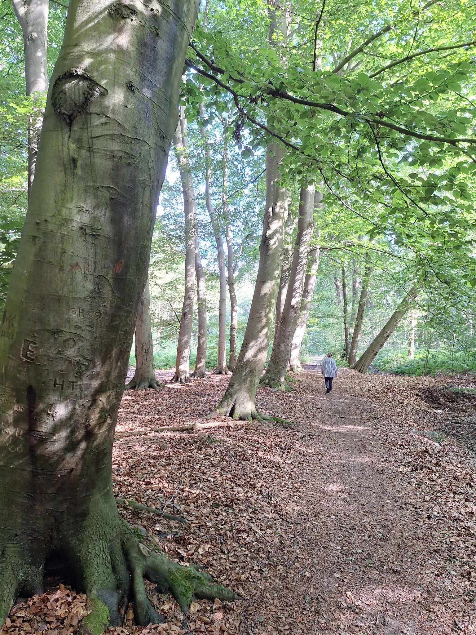 Verblijf in oerlandschap - Van Gogh wandelroute