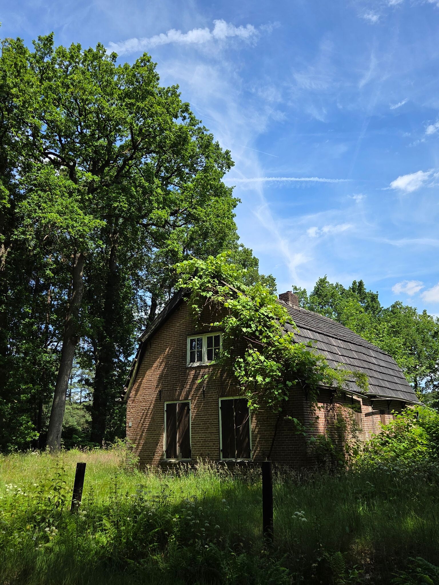 Baarn - Soesterberg · Trekvogelpad etappe 10