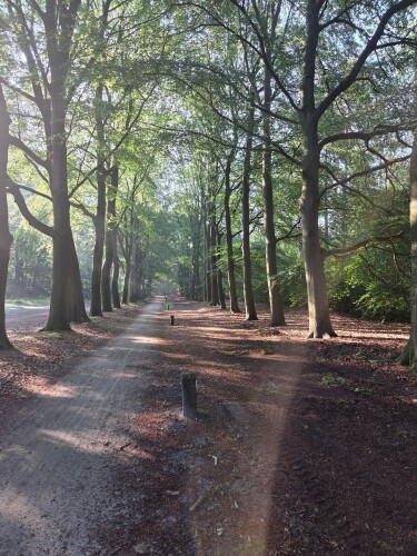 Baarn - Soesterberg · Trekvogelpad etappe 10