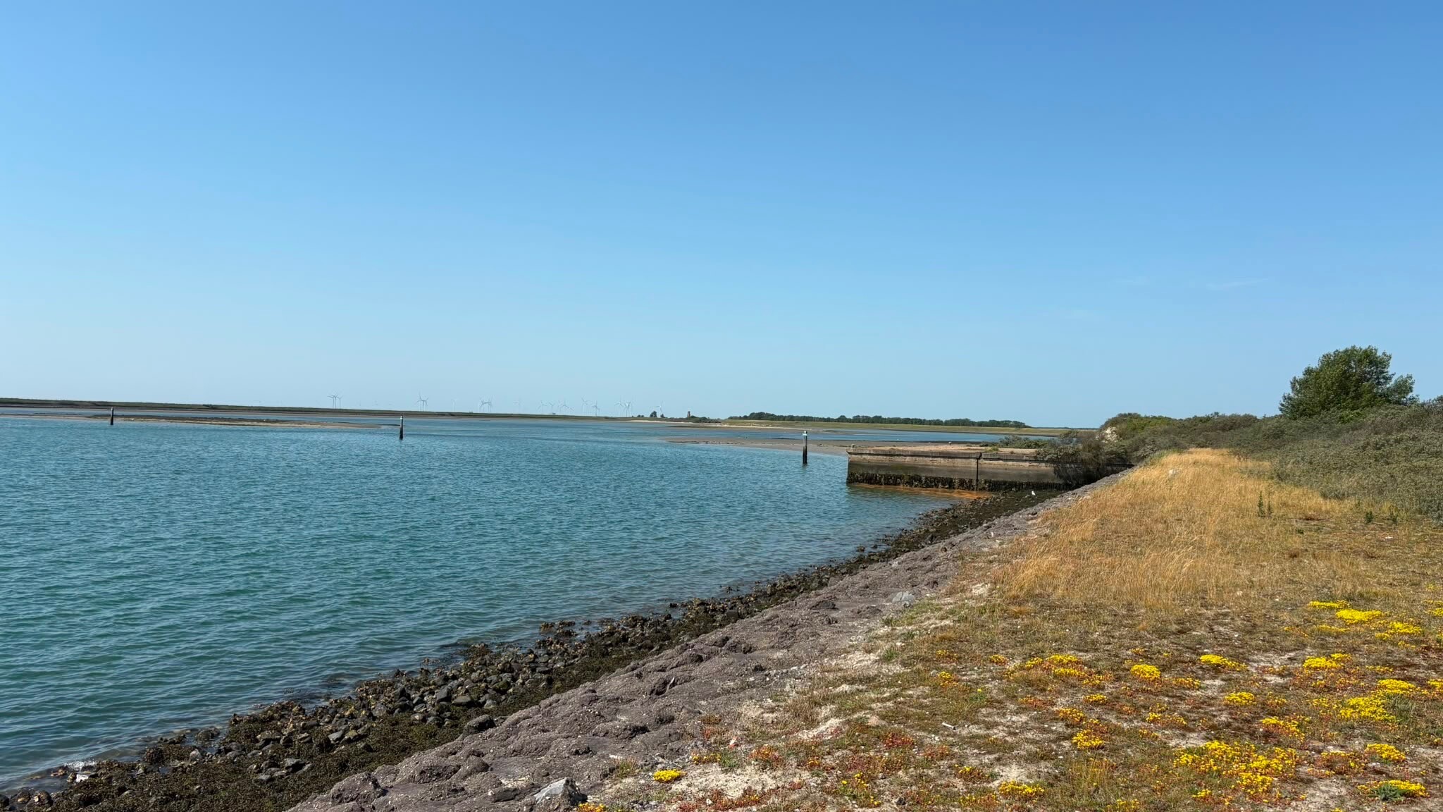 Oosterscheldepad