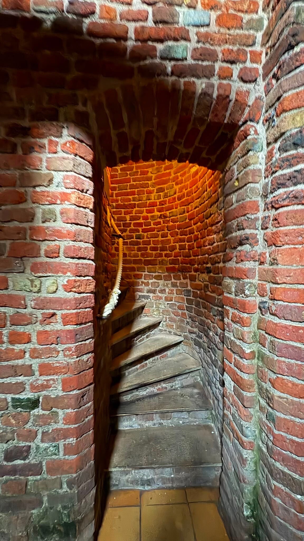 Oosterscheldepad