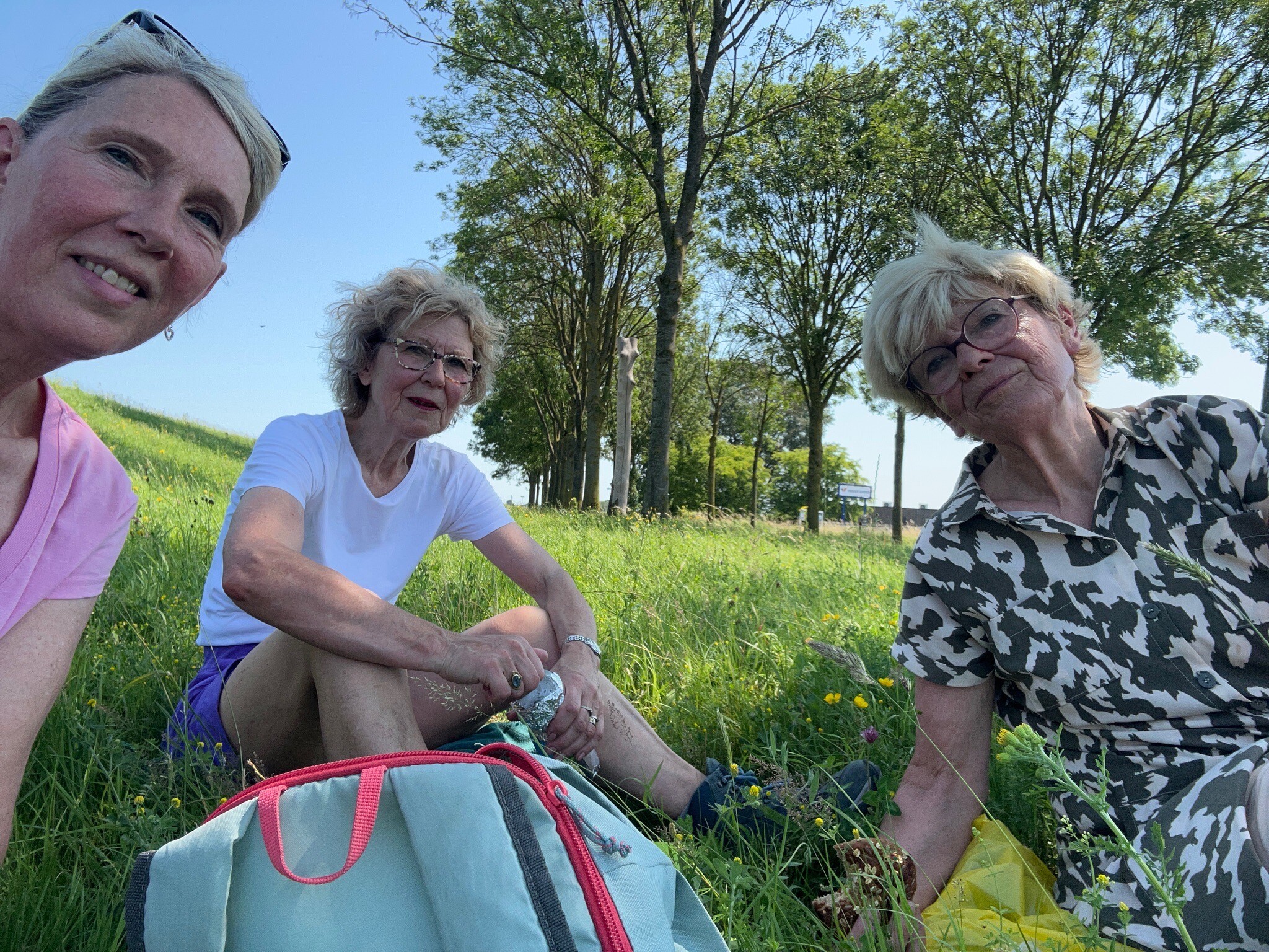 Camino Brabant