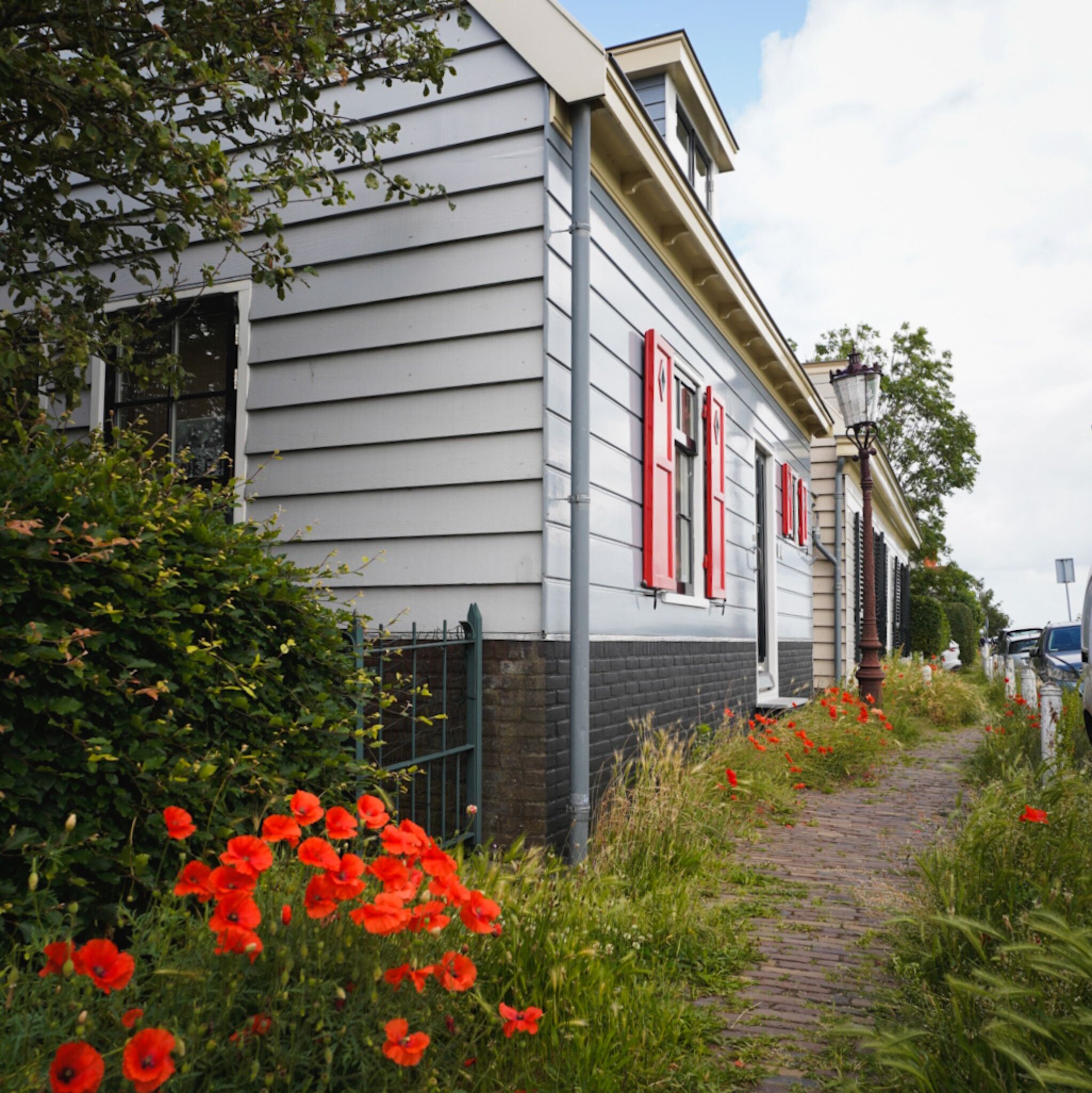 Broek in Waterland - Schellingwoud · Trekvogelpad etappe 6