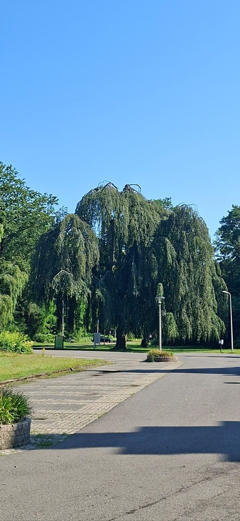 Pieterpad