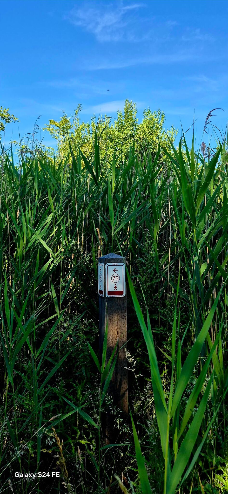 Lusje Vlamertinge