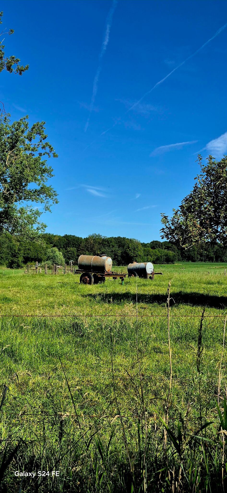 Lusje Vlamertinge