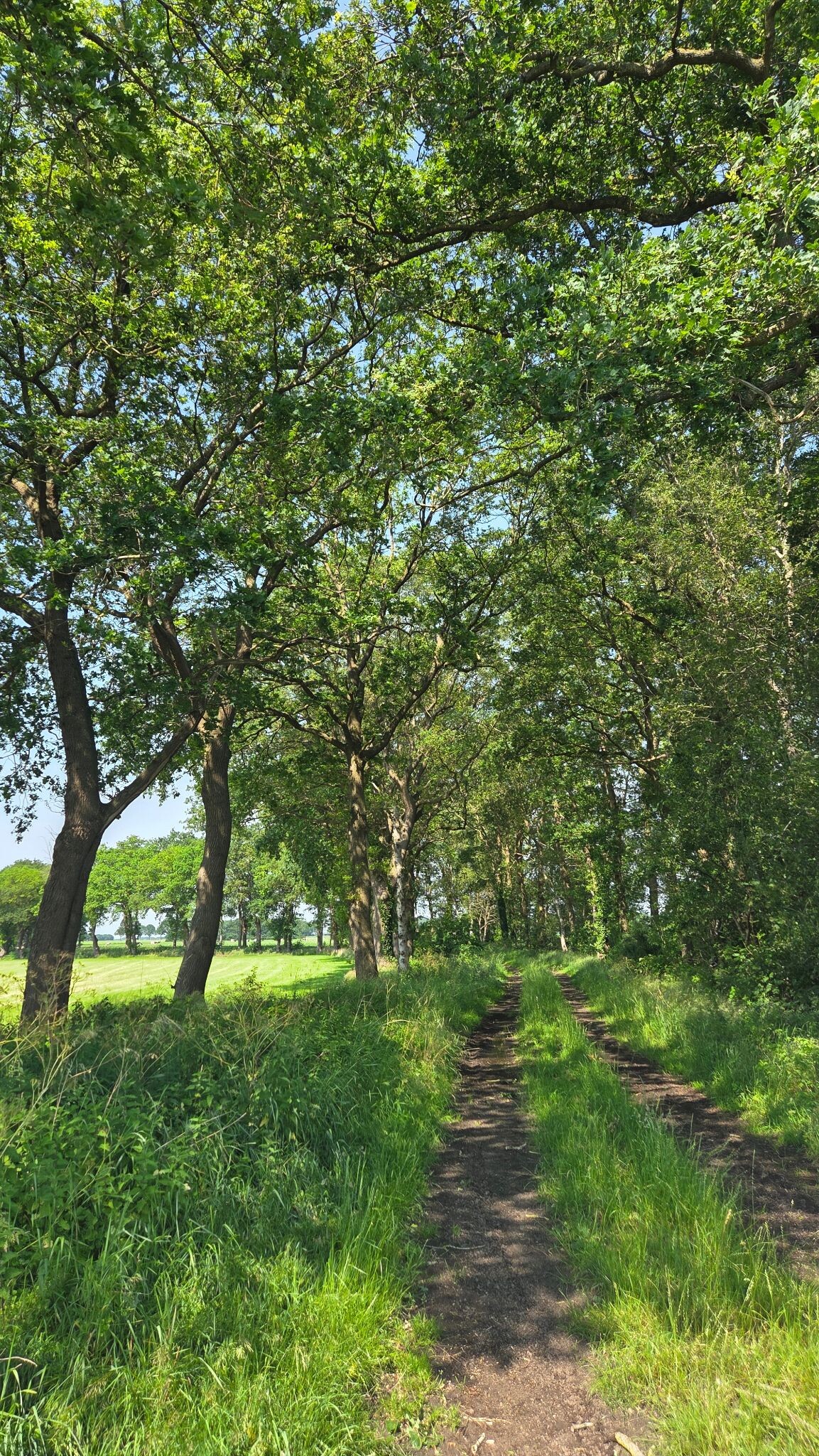 Noord-Sleen Storytrails
