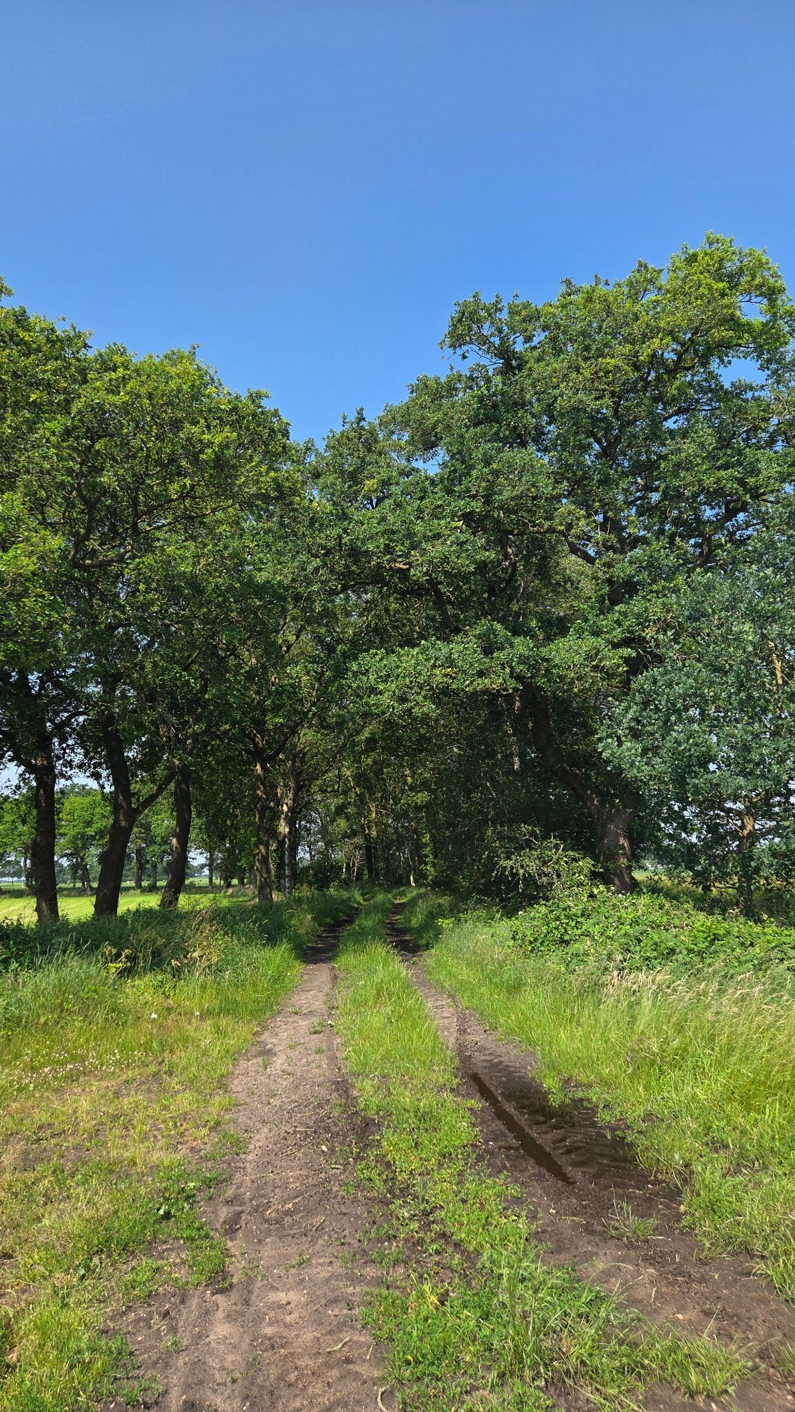 Noord-Sleen Storytrails