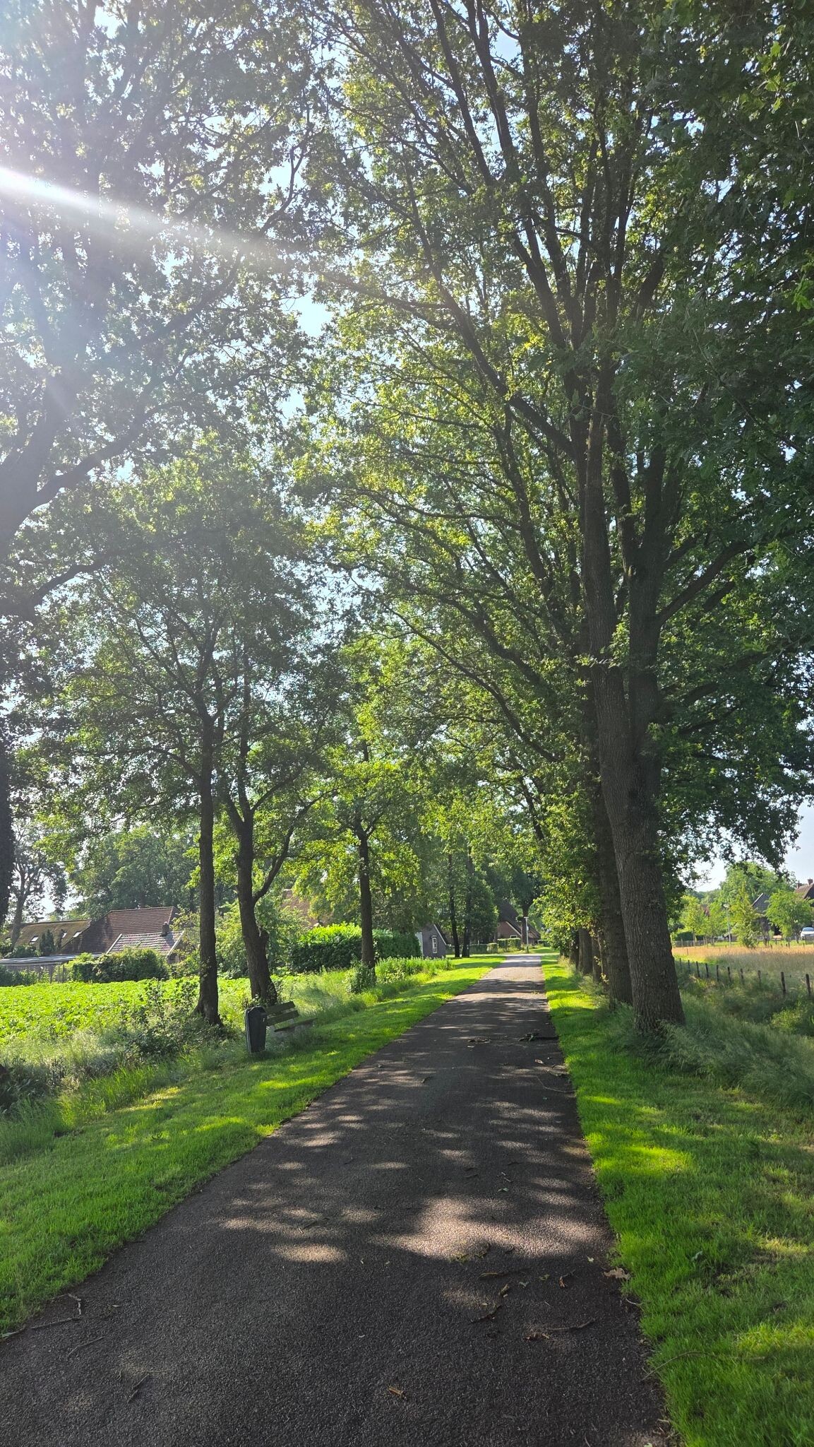 Noord Sleen - Sleen Cultuurpad Coevorden etappe 16