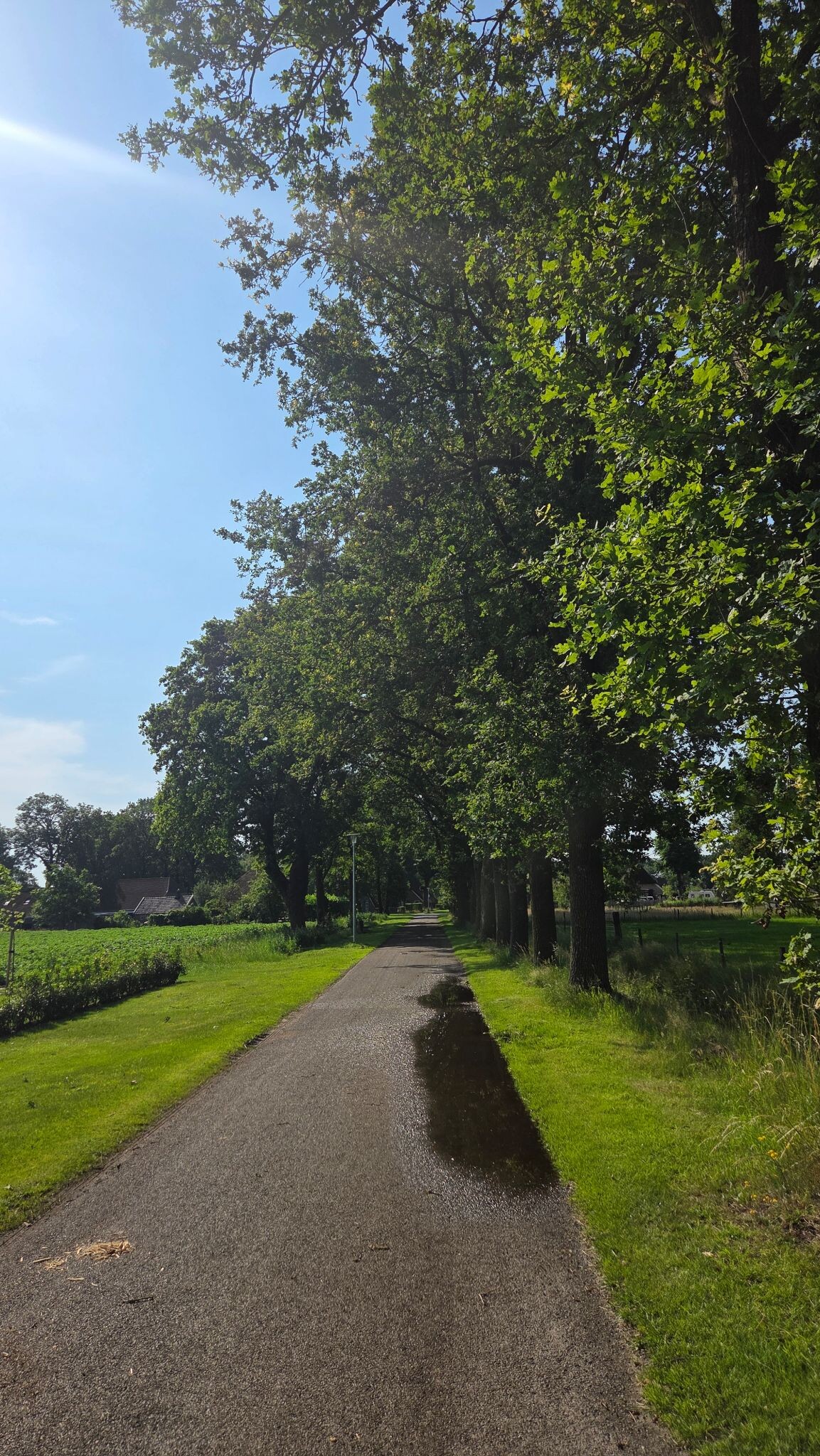Noord Sleen - Sleen Cultuurpad Coevorden etappe 16
