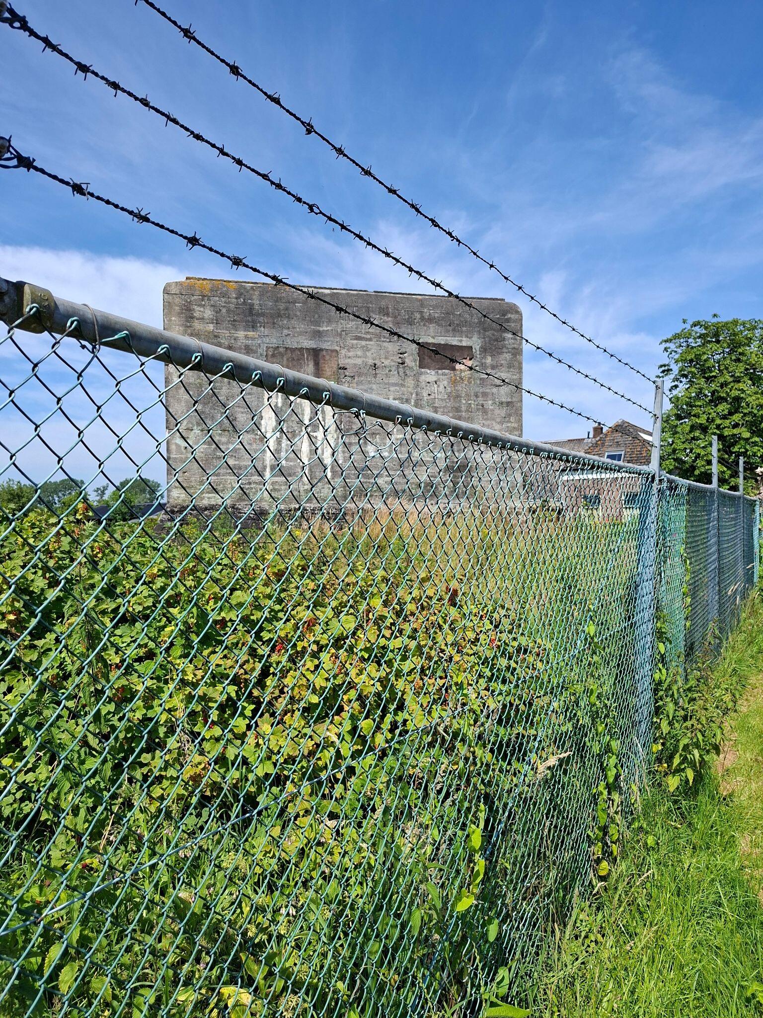 Fietstocht ipv wandeling huis-hattemerbroek-huis