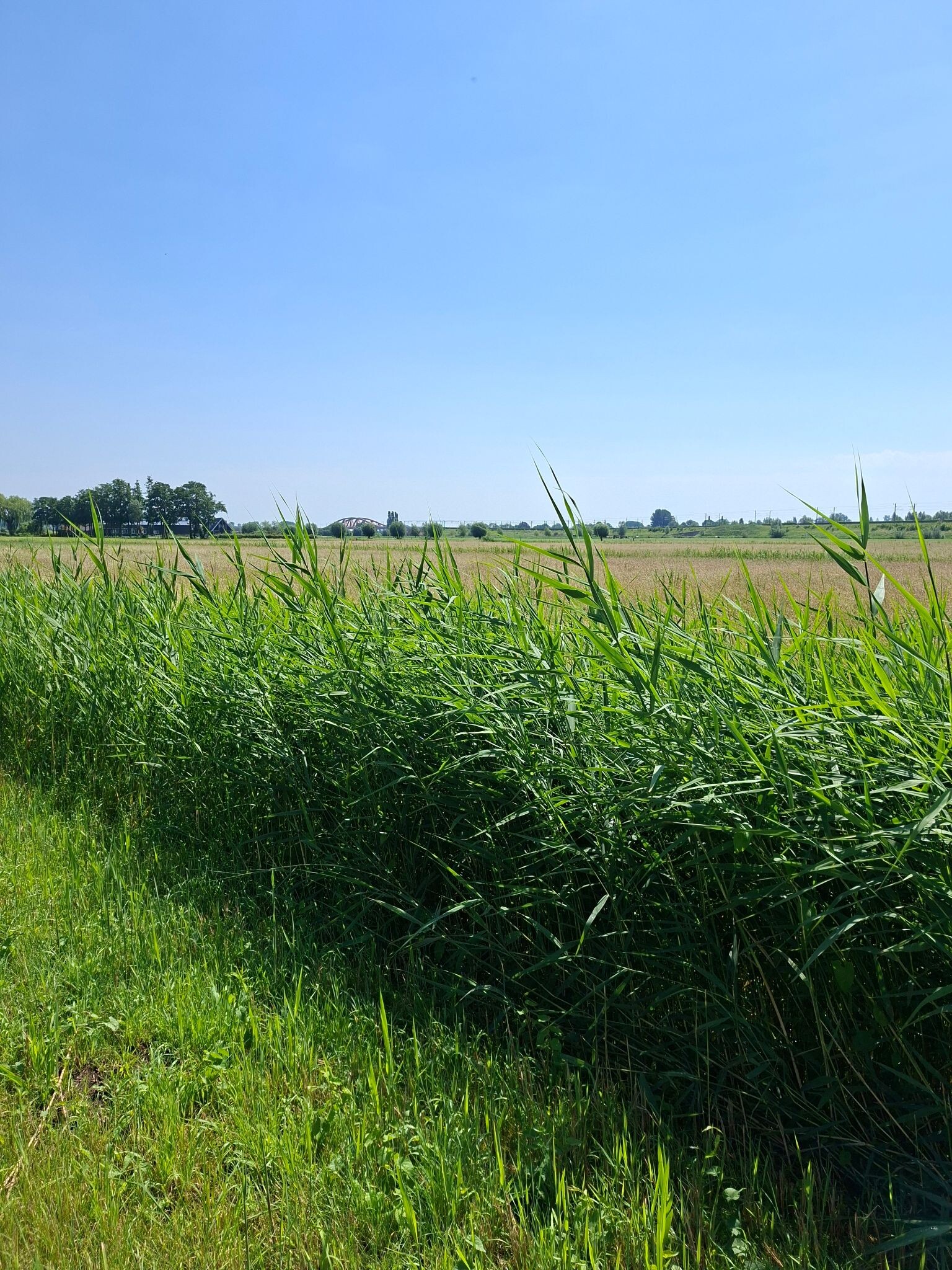 Fietstocht ipv wandeling huis-hattemerbroek-huis