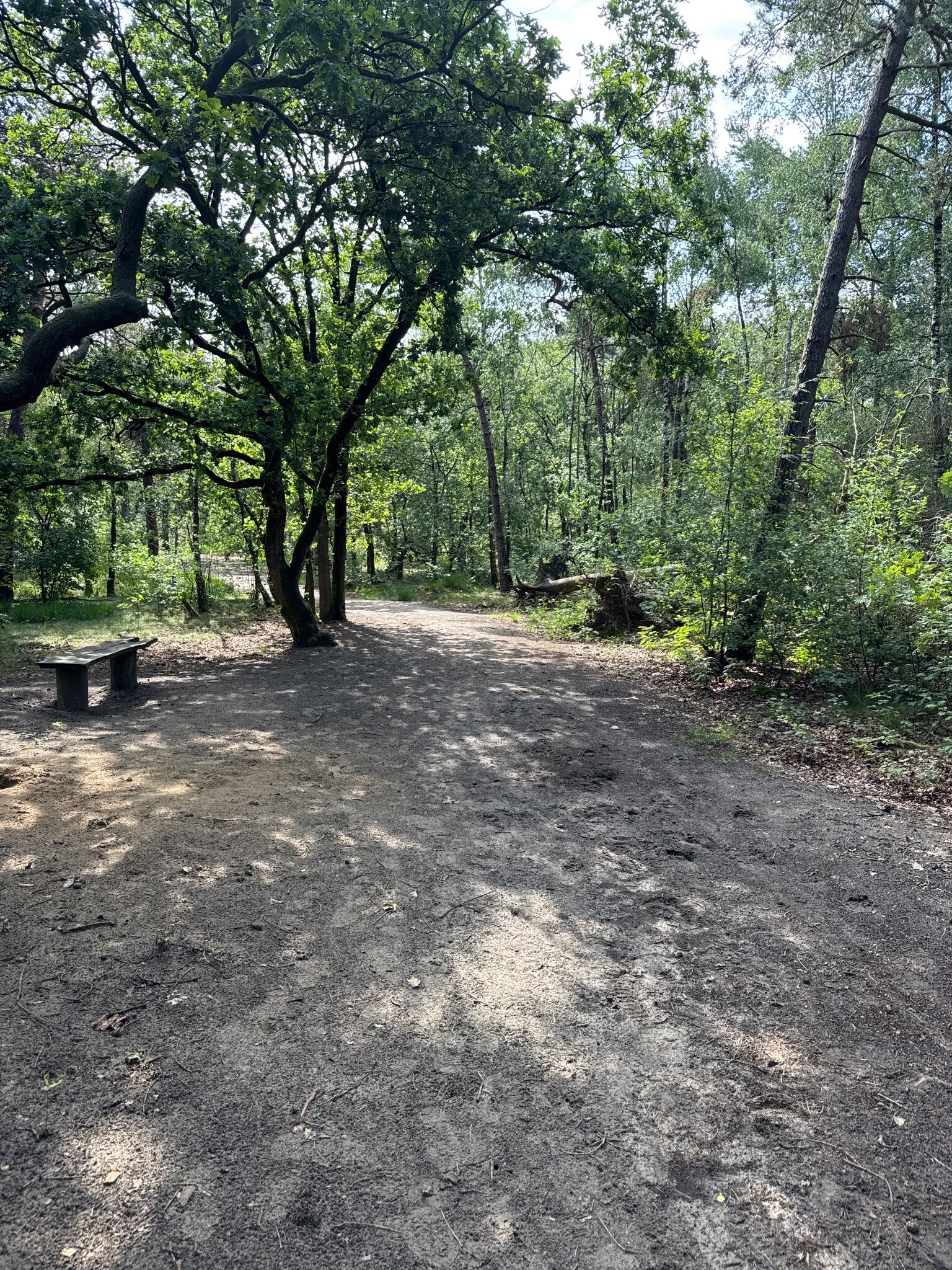 Wandelroute Zwarte Berg, vlak bij Drunen