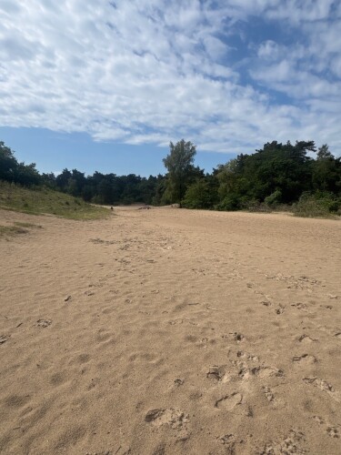 Wandelroute Zwarte Berg, vlak bij Drunen