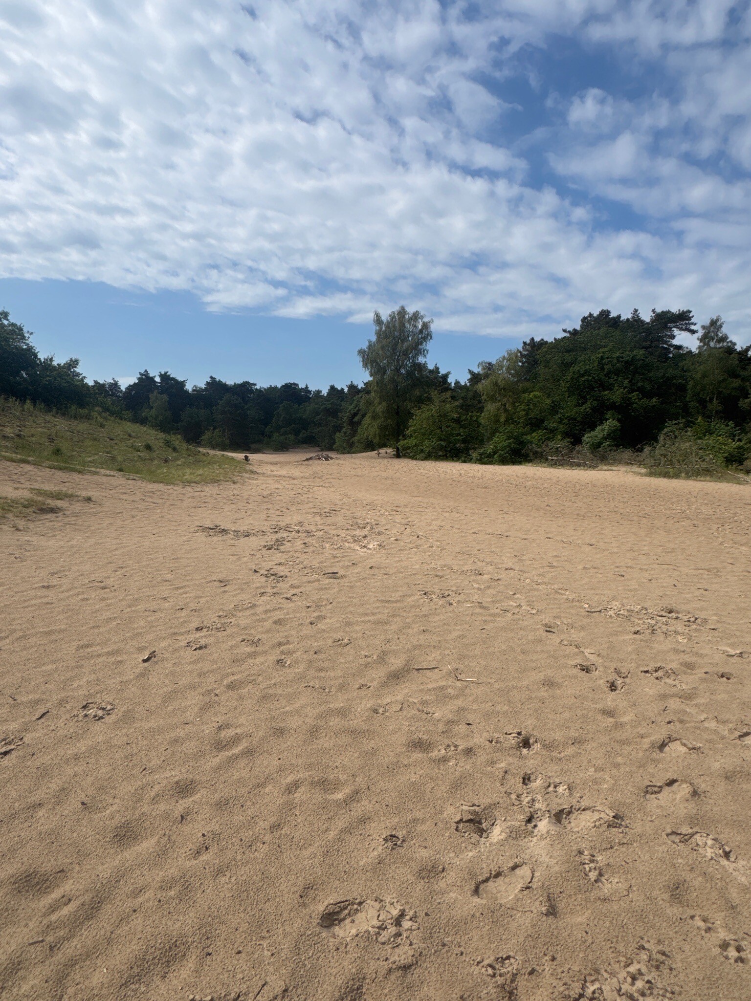Wandelroute Zwarte Berg, vlak bij Drunen