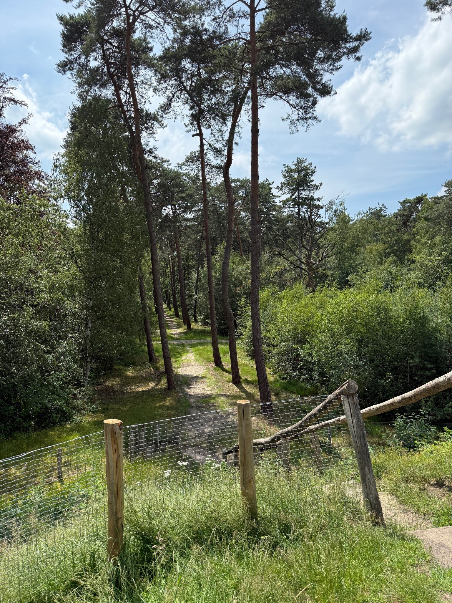 Grenspark Kalmthoutse Heide