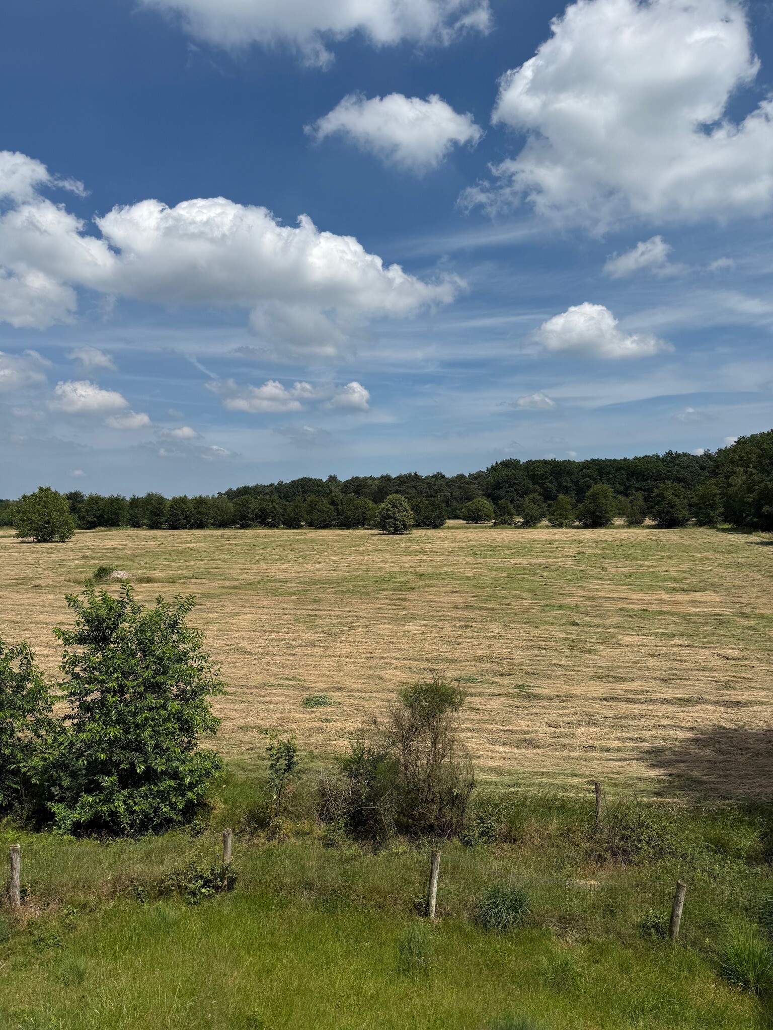 Grenspark Kalmthoutse Heide
