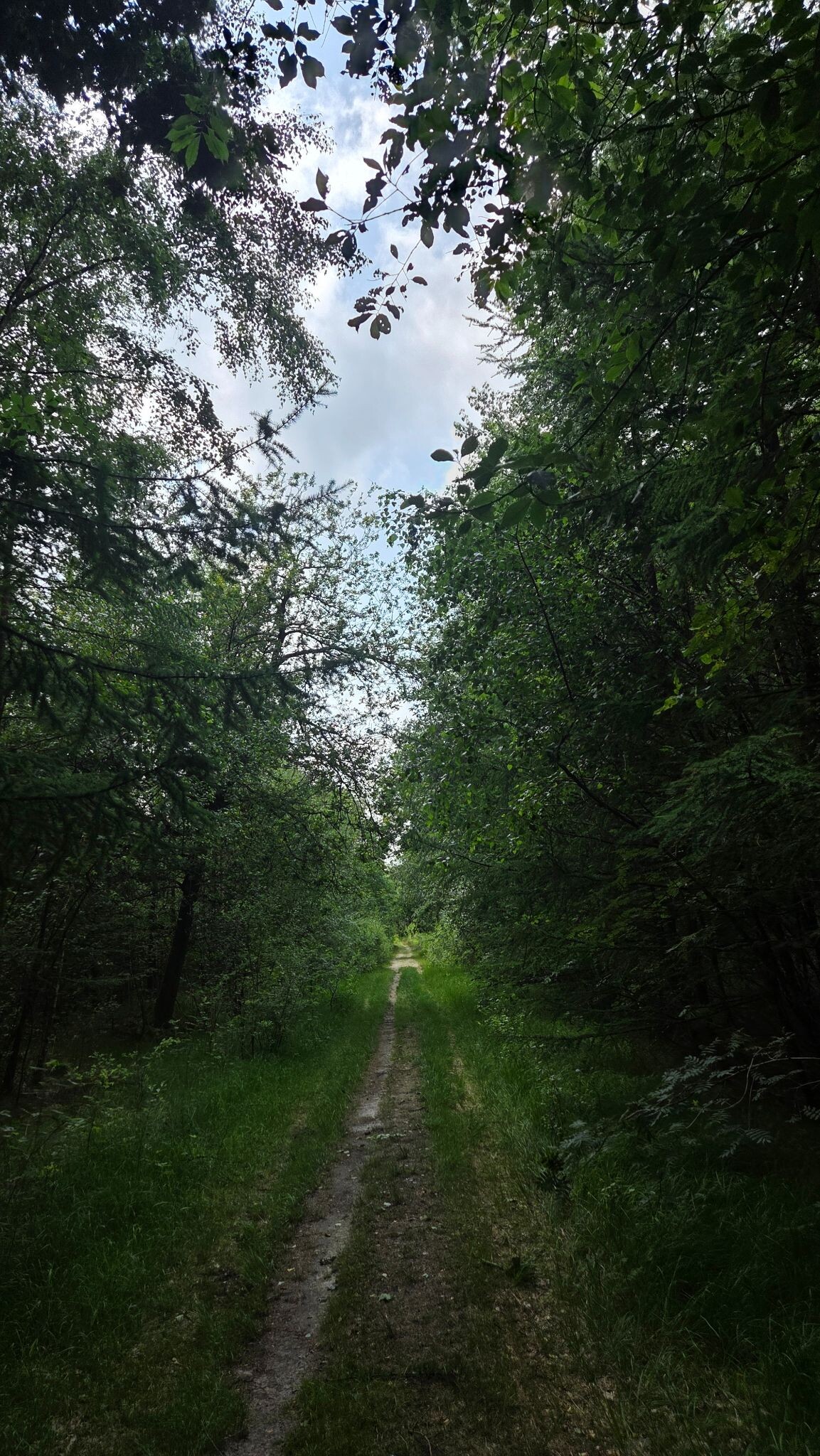 Bosbelevingsroute
