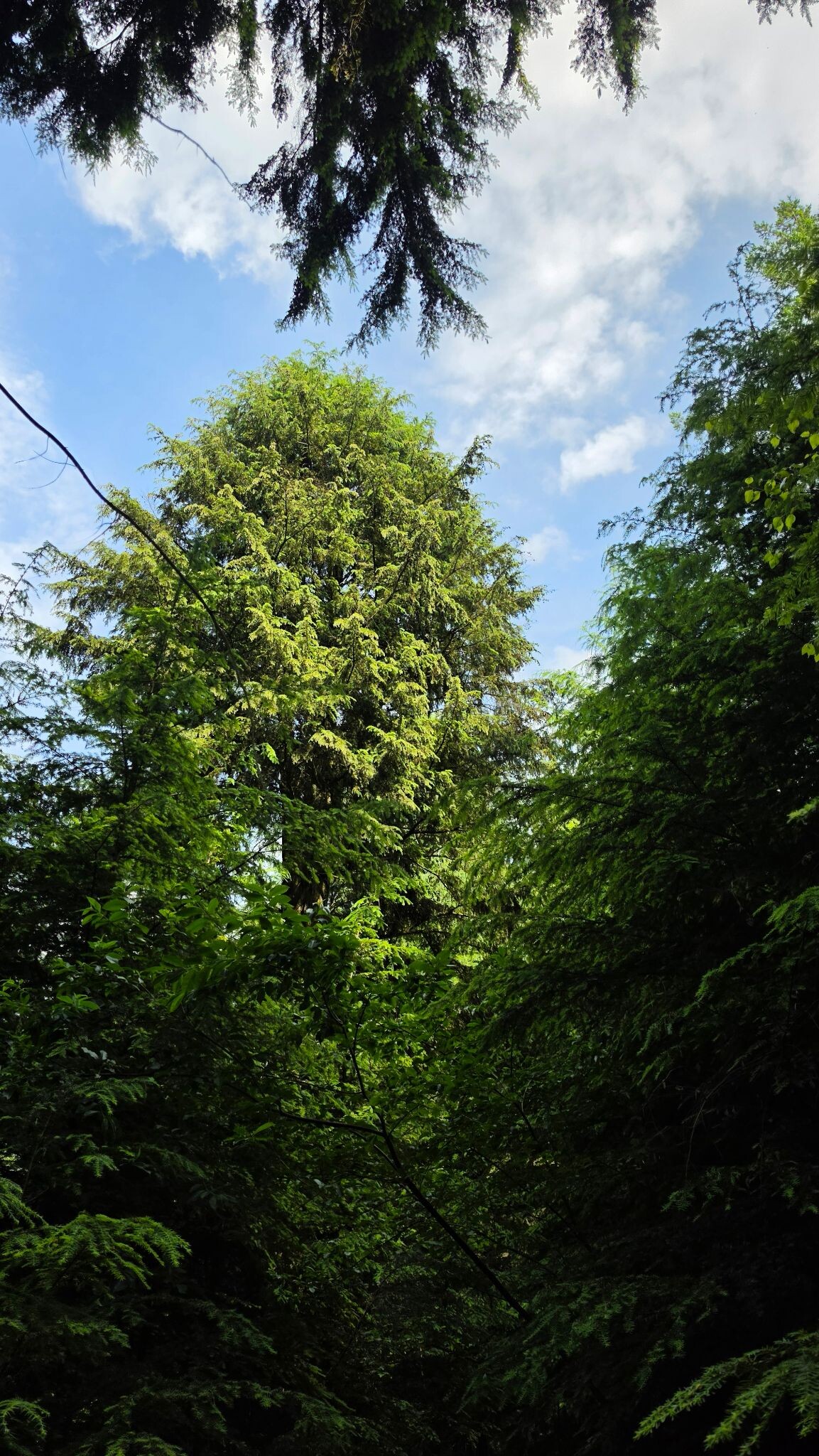 Bosbelevingsroute