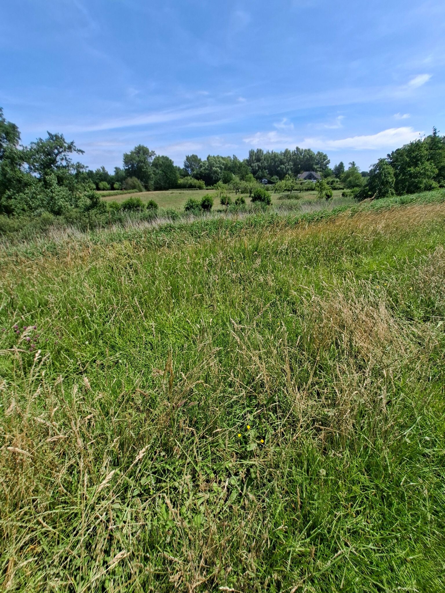 Stukje langs de IJssel en IJsselvallei Windesheim