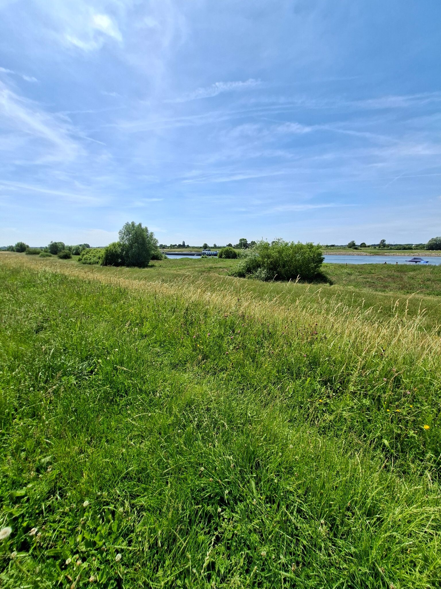 Stukje langs de IJssel en IJsselvallei Windesheim
