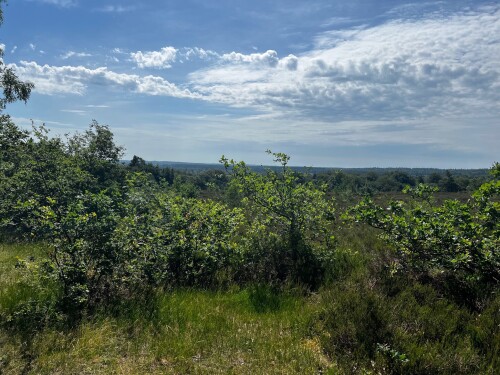 Hardenberg - Ommen · Pieterpad etappe 9