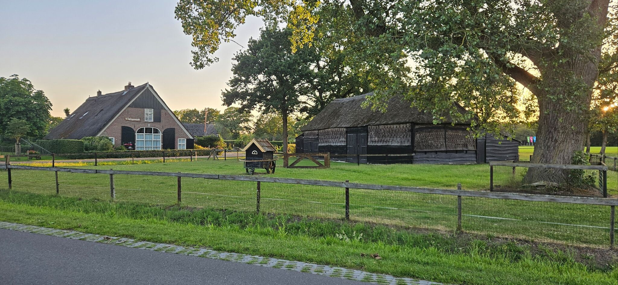 Brucht