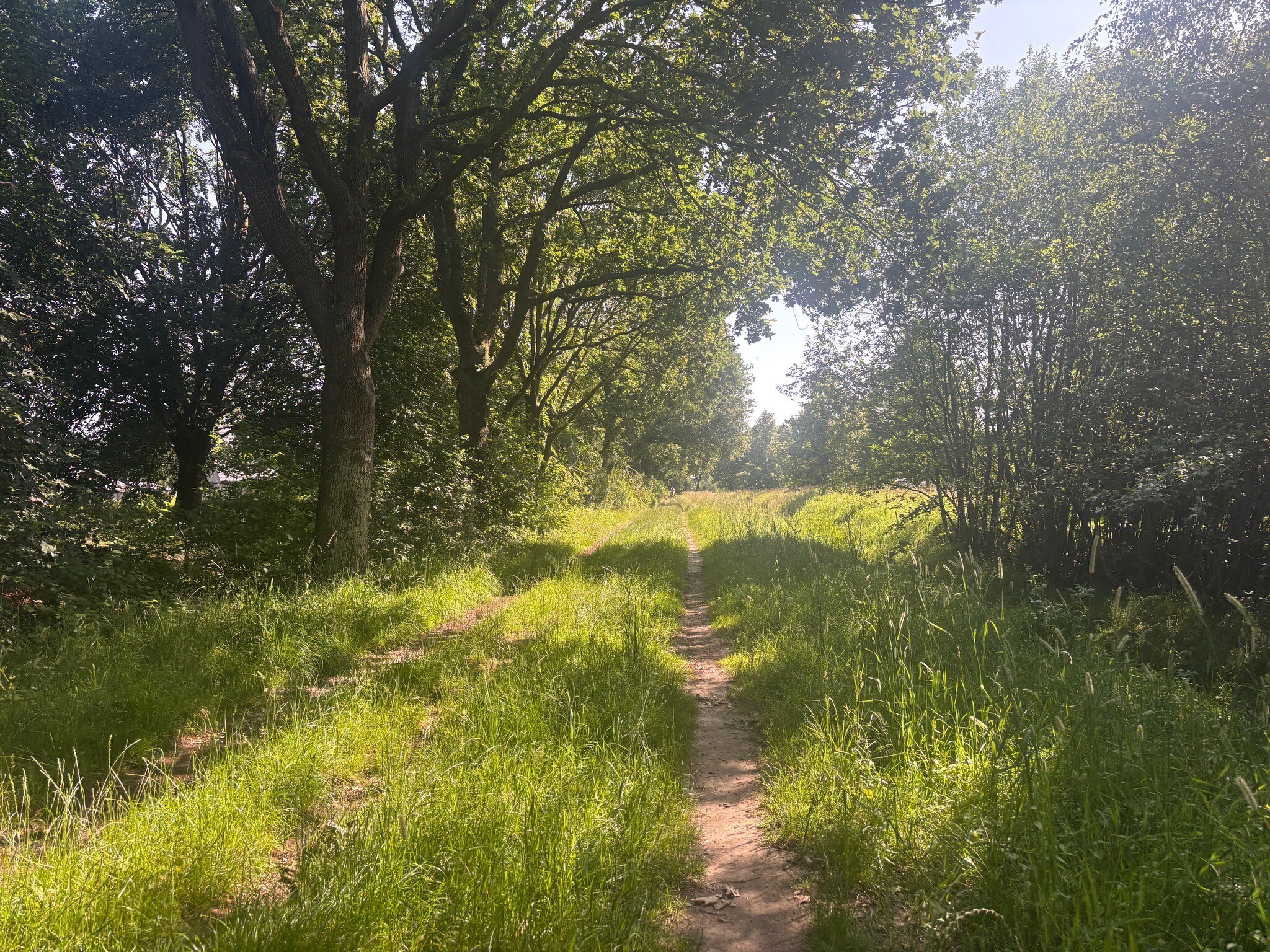Cultuurpad Coevorden 7: Aalden - Zweeloo