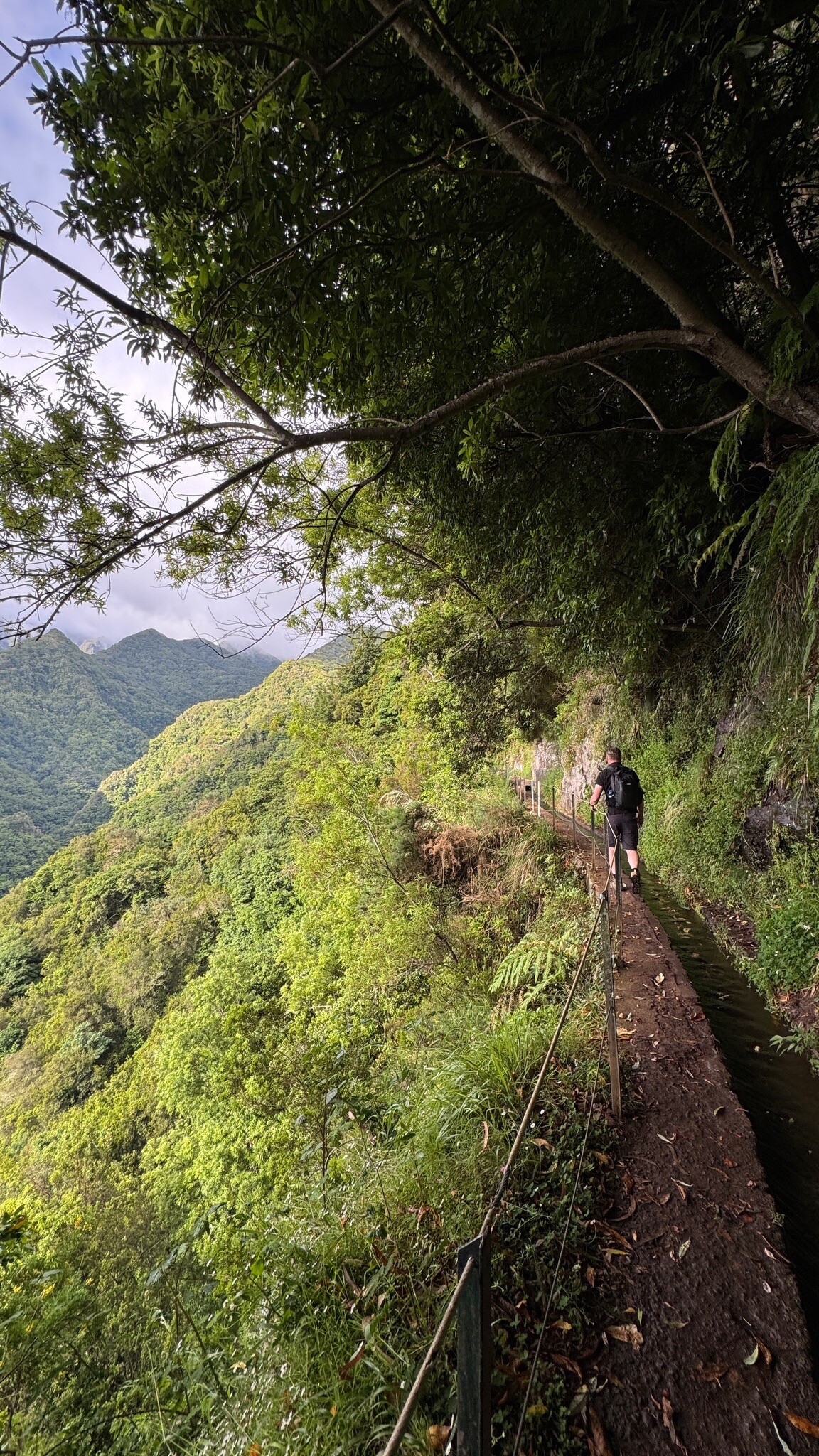 Zona Especial de Conservação da Laurissilva da Madeira
