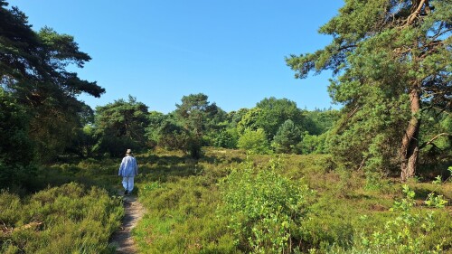 Bosbad Noord-Sleen - Noord-Sleen · Cultuurpad Coevorden etappe 15
