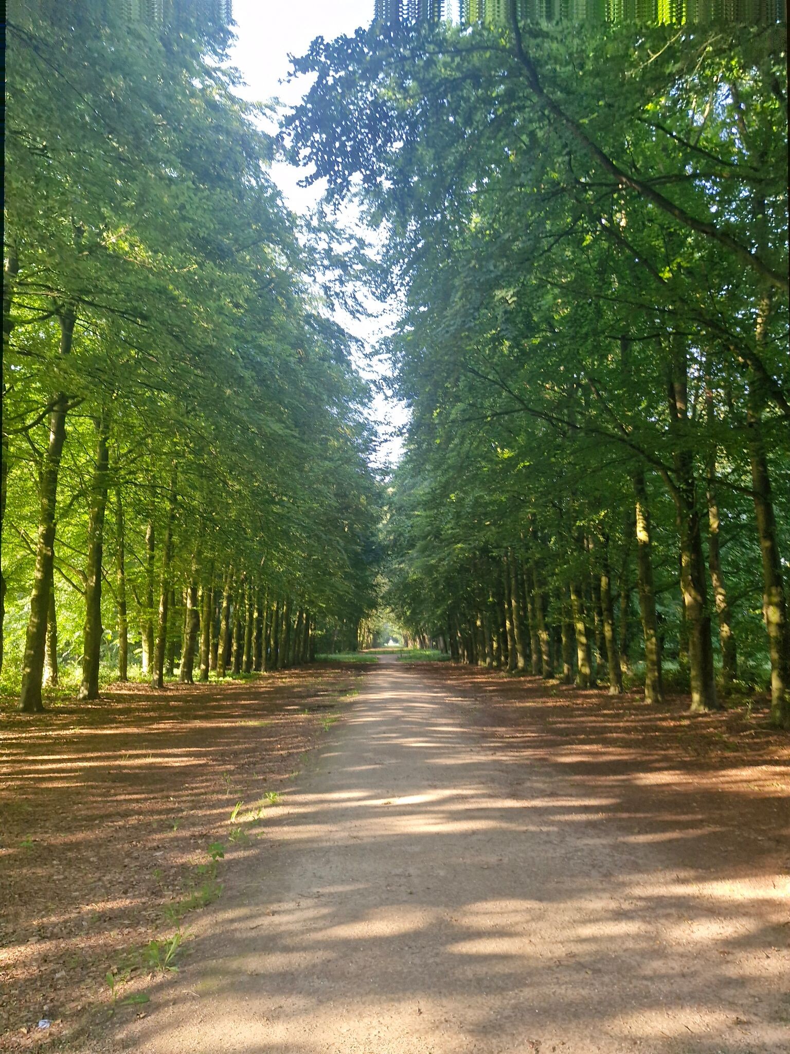 Vorden - Zelhem · Pieterpad etappe 14