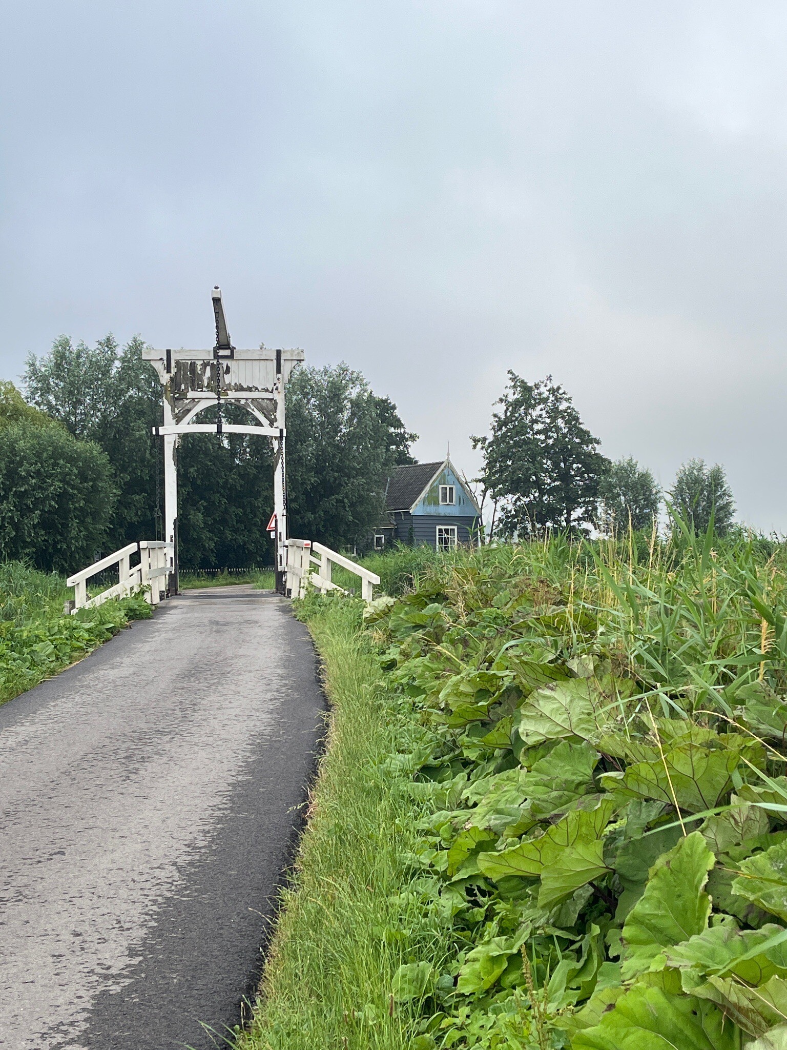 Trekvogelpad