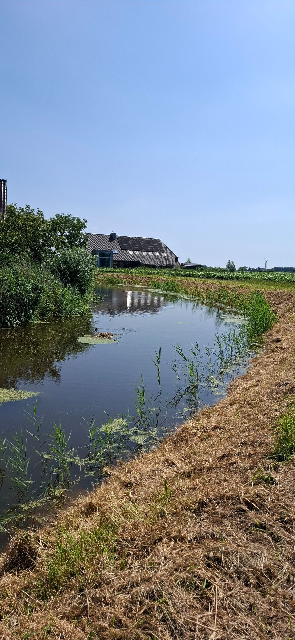 Rondje Eemshaven