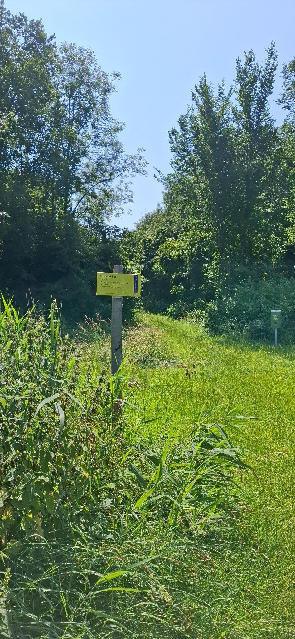 Uithuizen naar Spijk - "Noordkaap" · NederRandpad etappe 81