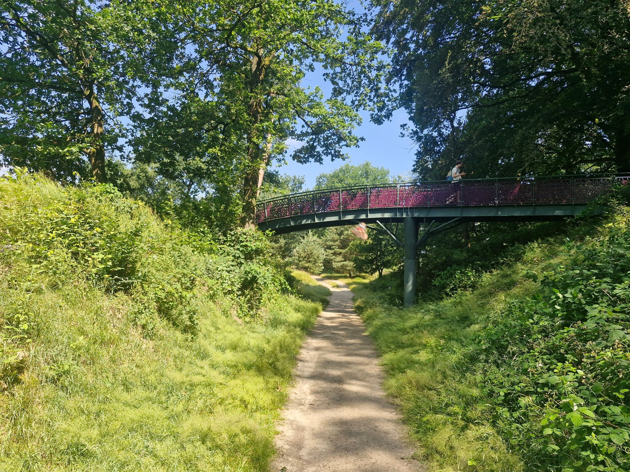 Veluwezoom