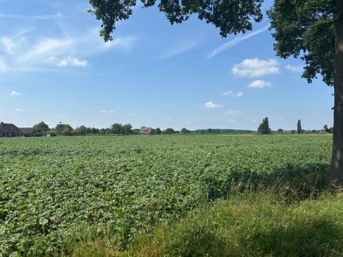 Raalte - Oranje